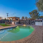 Scottsdale Sunflower - Entertainers Backyard - Old Town