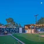 Scottsdale Sunflower - Entertainers Backyard - Old Town