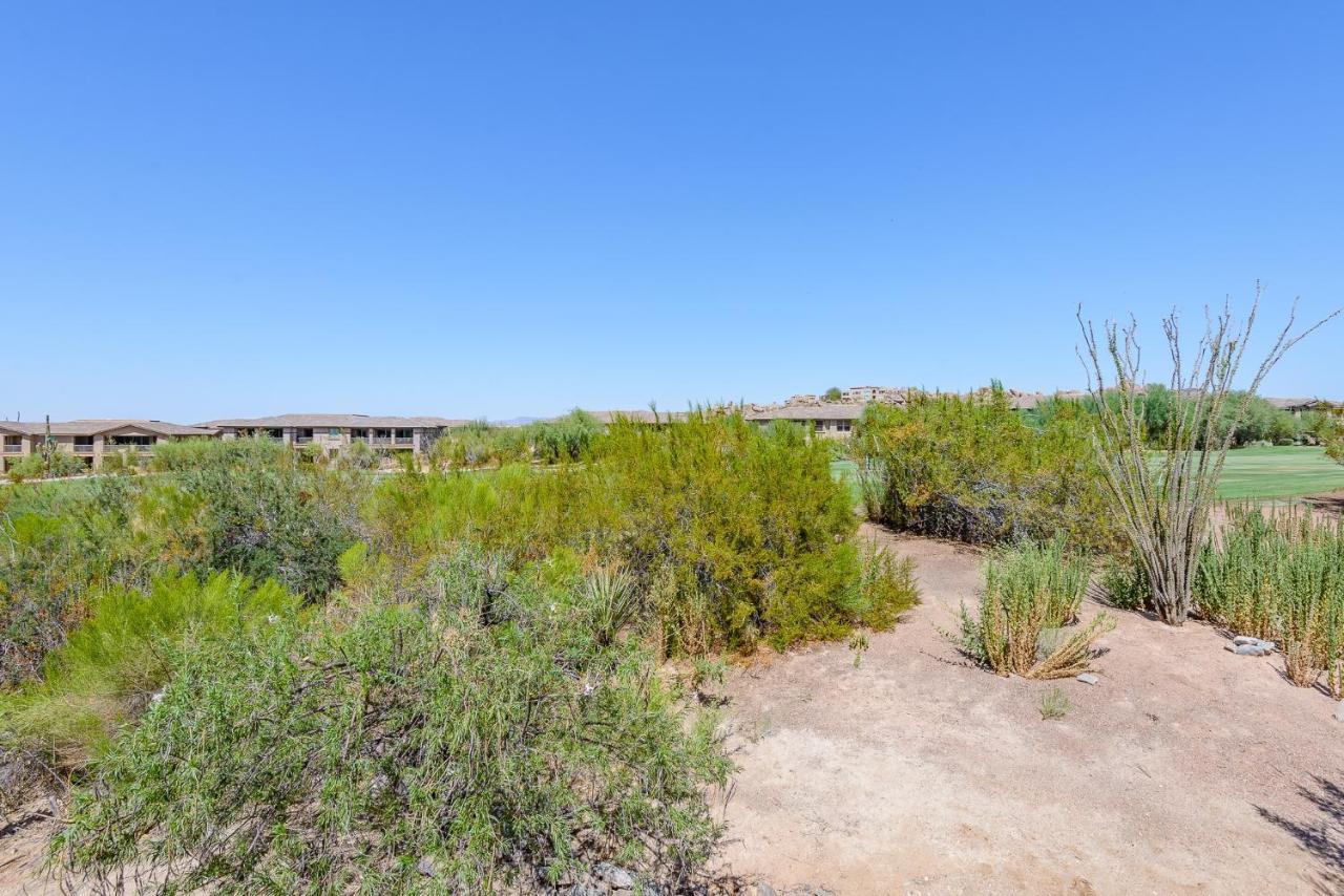 Agave Scottsdale