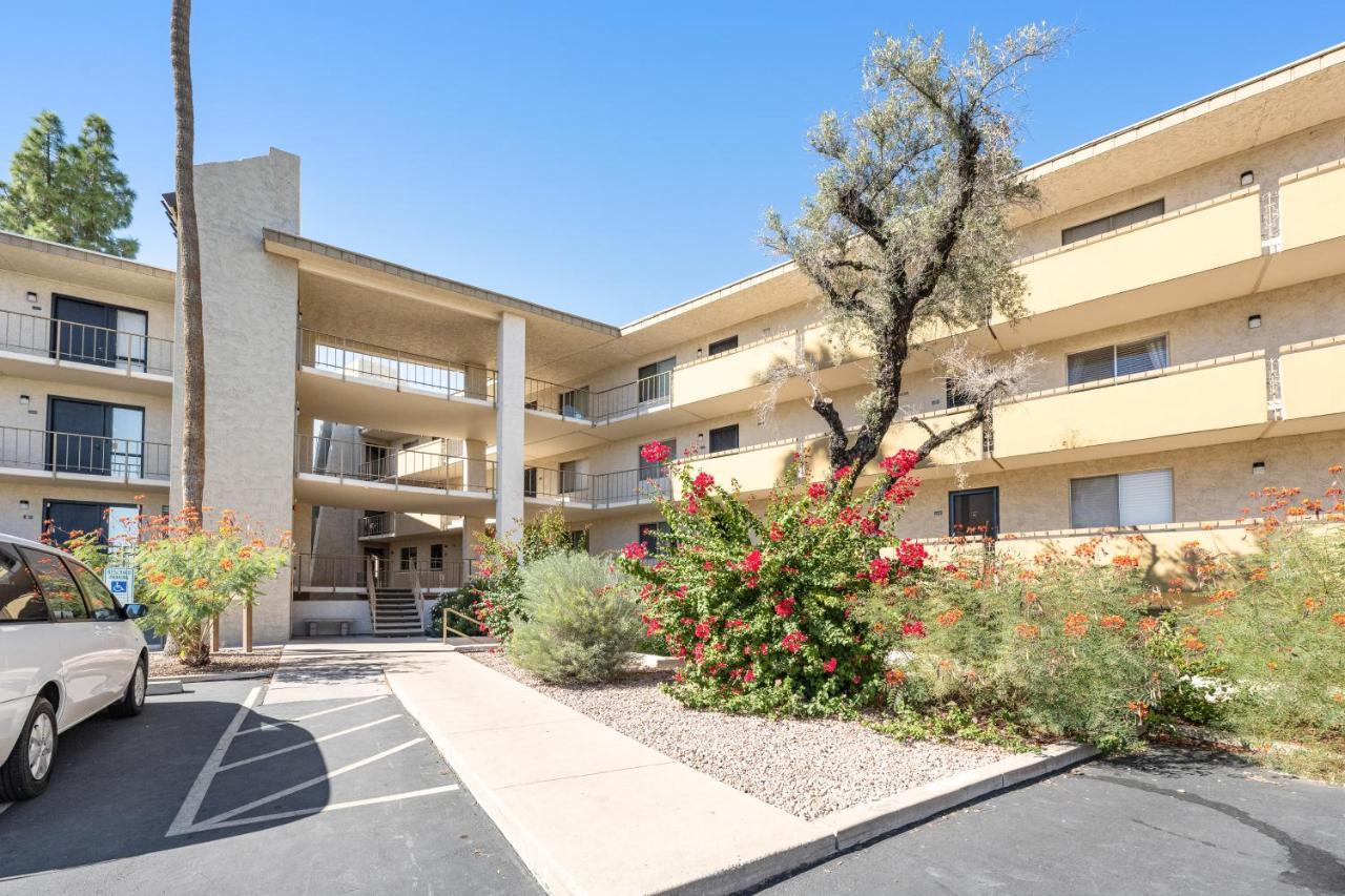 Maya 337b * Scottsdale