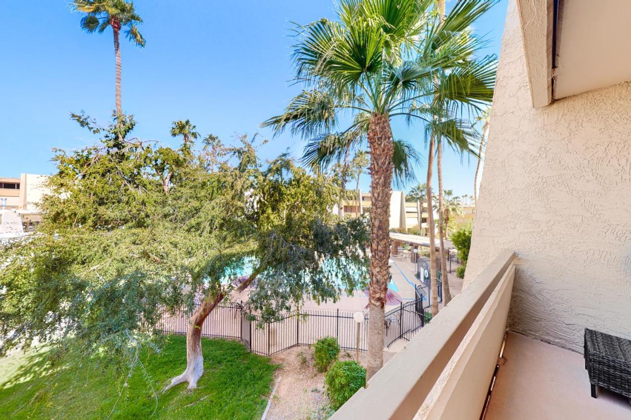 Maya 337b * Scottsdale