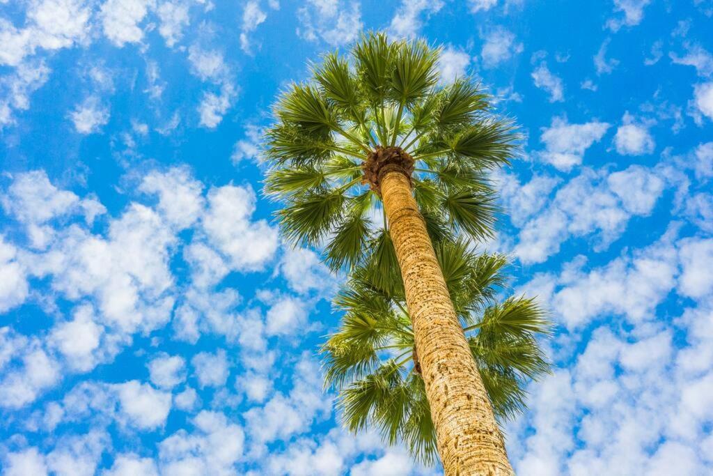 Apartment Micro With Balcony & Pool View - Walk To Ot Scottsdale