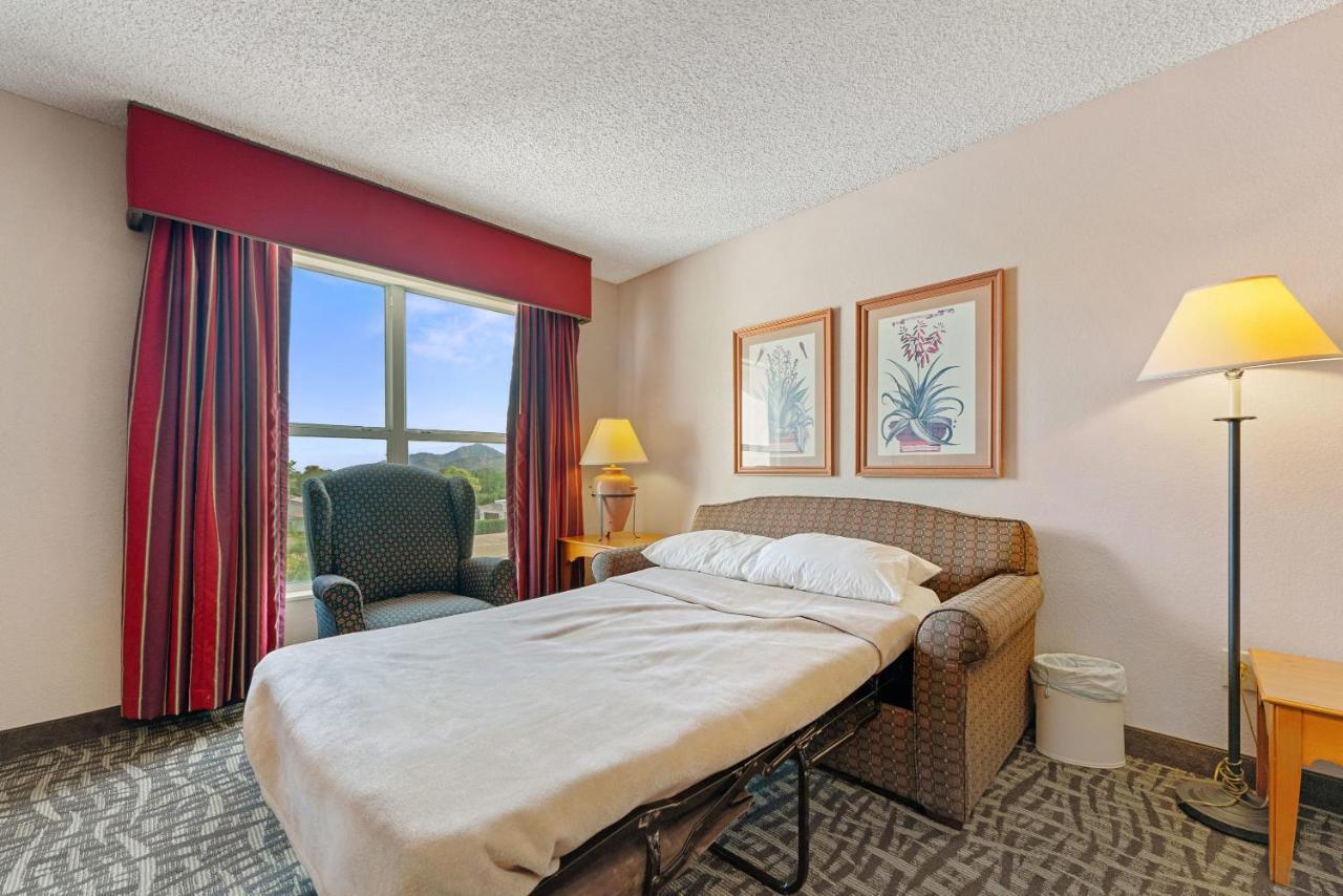 1 Bd 1 Ba Furnished Apt With King Bed Apartment *