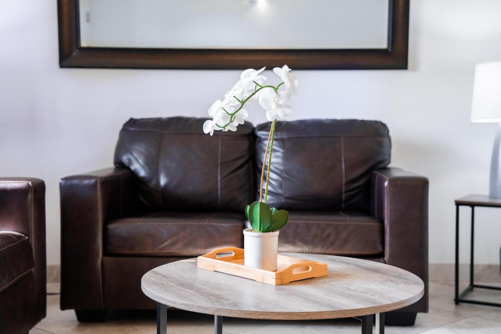 213 Fully Furnished 1br Suite-outdoor Pool Apartment *