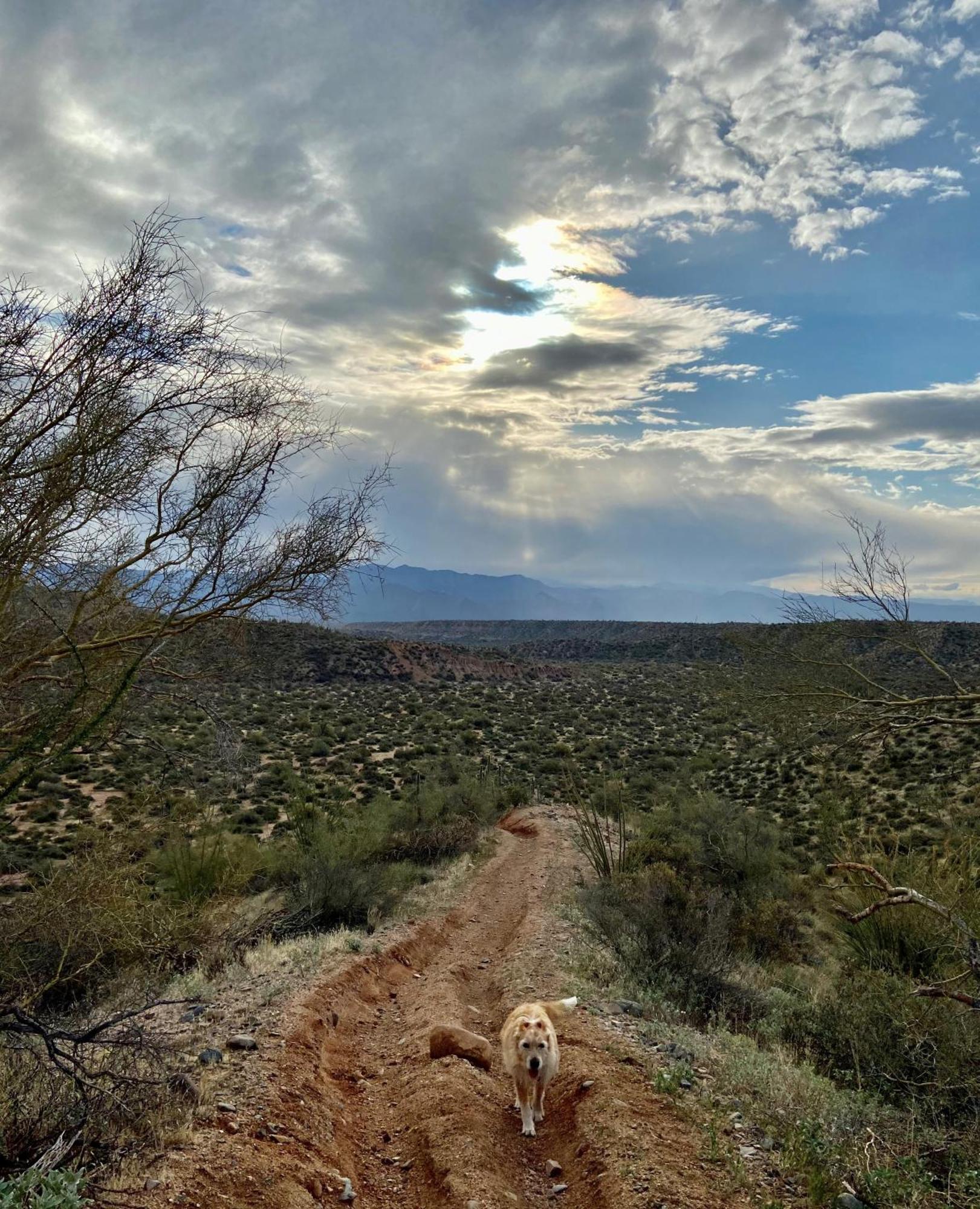 Rio Rancho Two Bedroom * Scottsdale