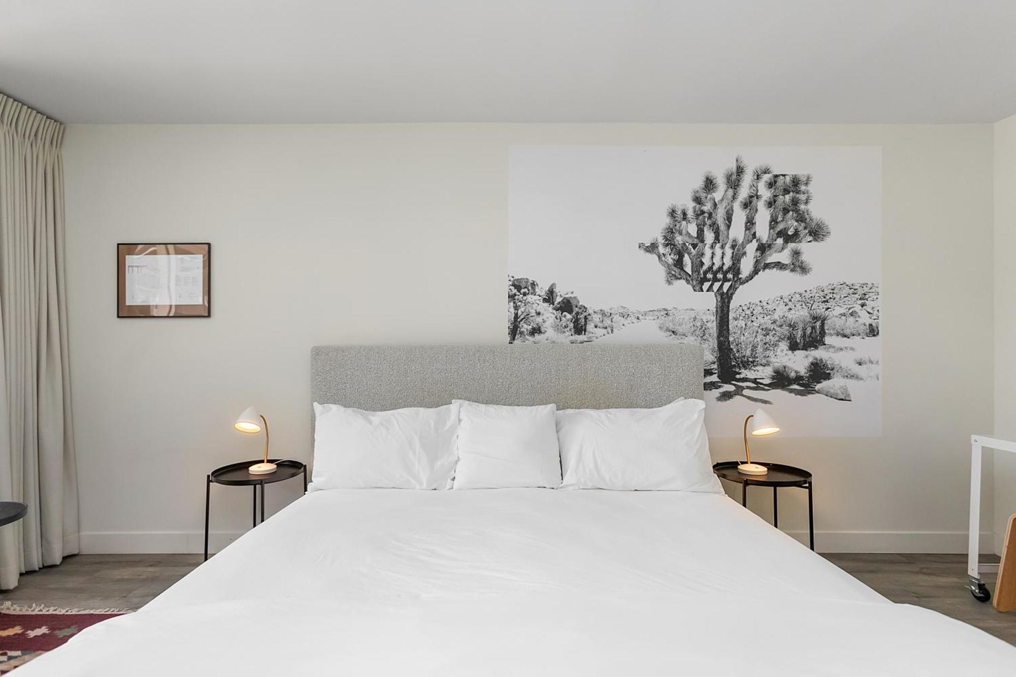 Papago By Reside, Trademark Collection By Wyndham Hotel Scottsdale