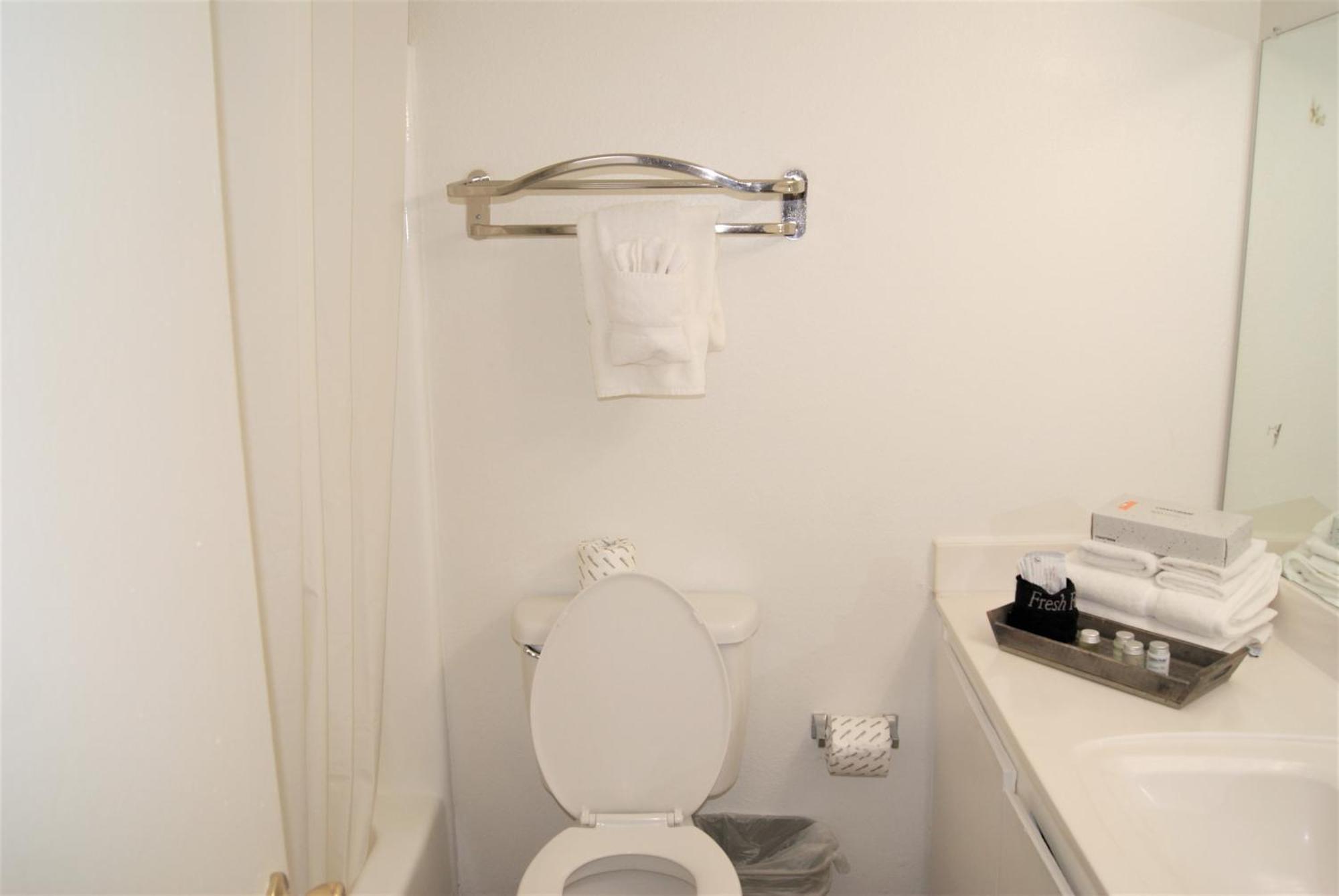 148 Fully Furnished 1br Suite-pet Friendly Apartment *