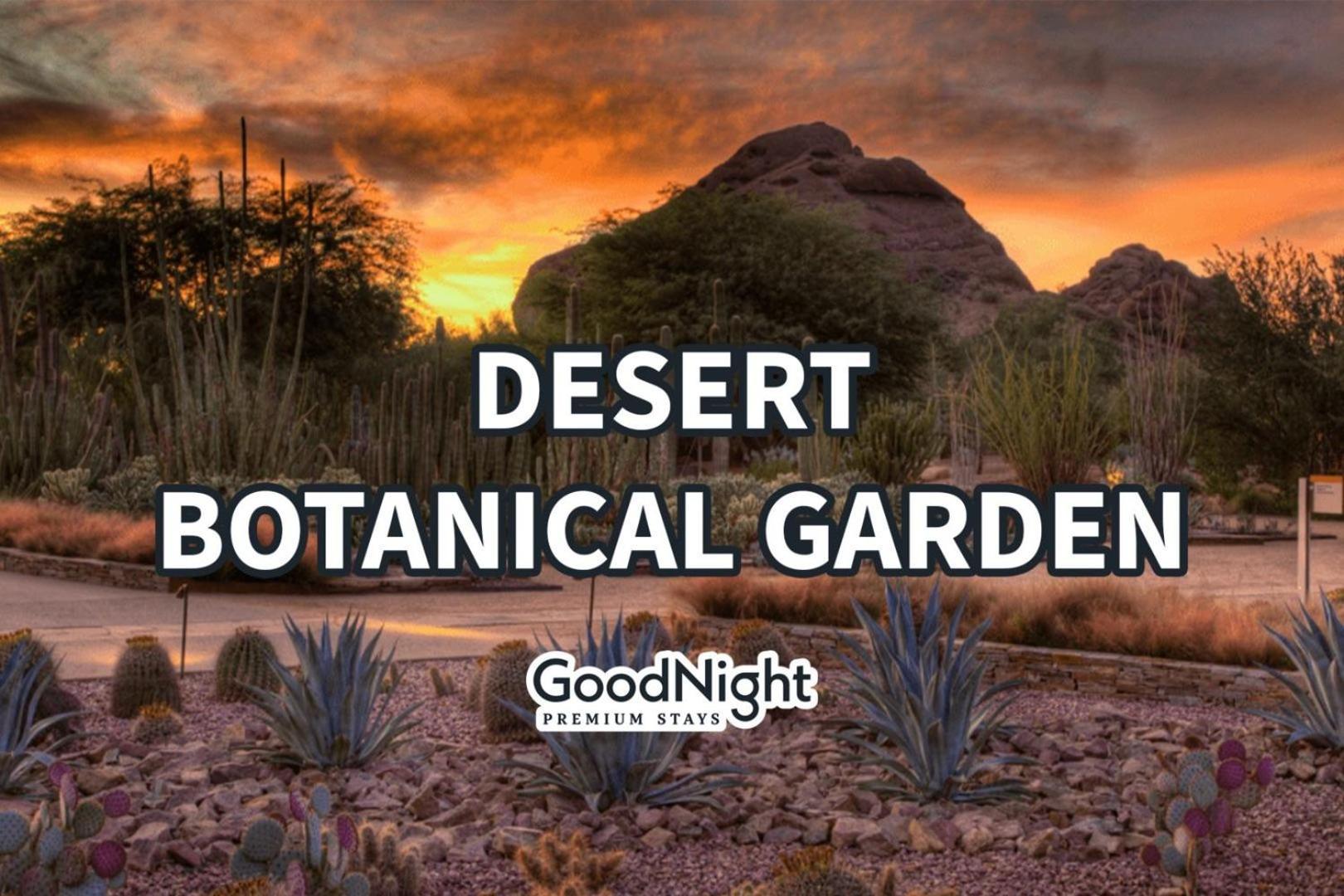 Desert Daze - Pool Heat Available - Fire Pit & Canal Access Holiday home *