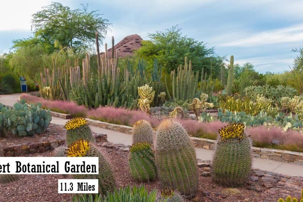 Desert Oasis - 6br In North