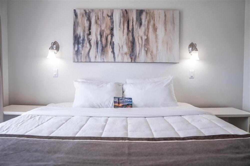 Apartment 145 Fully Furnished 1br Suite-pet Friendly Scottsdale