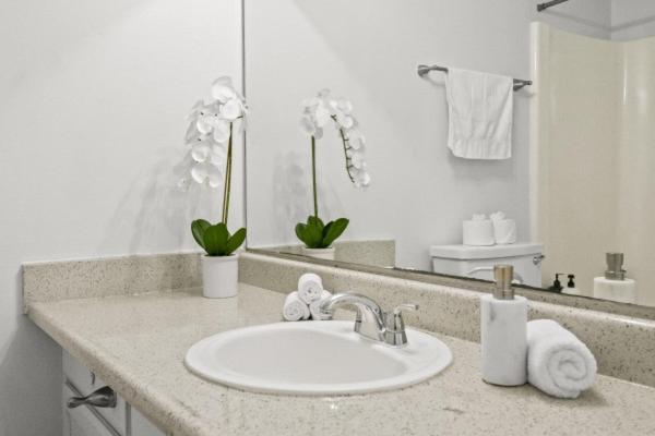 Luxe 1b1b With Pool Access And Free Parking *