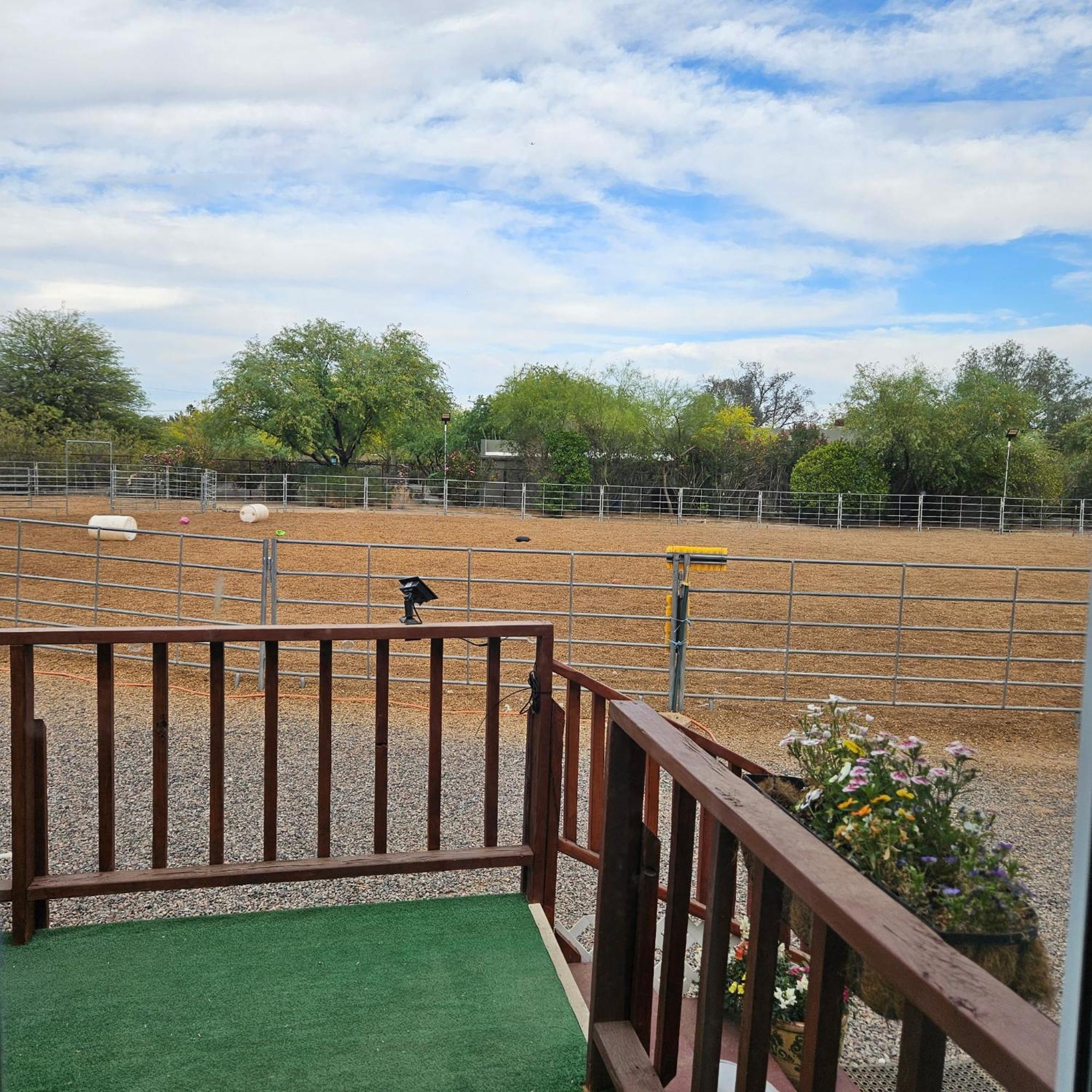 Horseshoe Tiny * Scottsdale