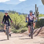 Serene & Secluded - Heart Of The Sonoran Desert Bunkhouse Casita