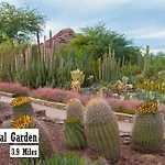 4-Br Near Old Town Scottsdale
