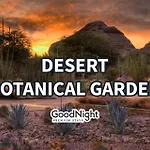 Games Galore - Old Town Scottsdale - Pool & Golf