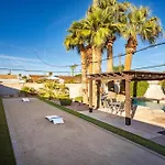 Find Me Under The Palms