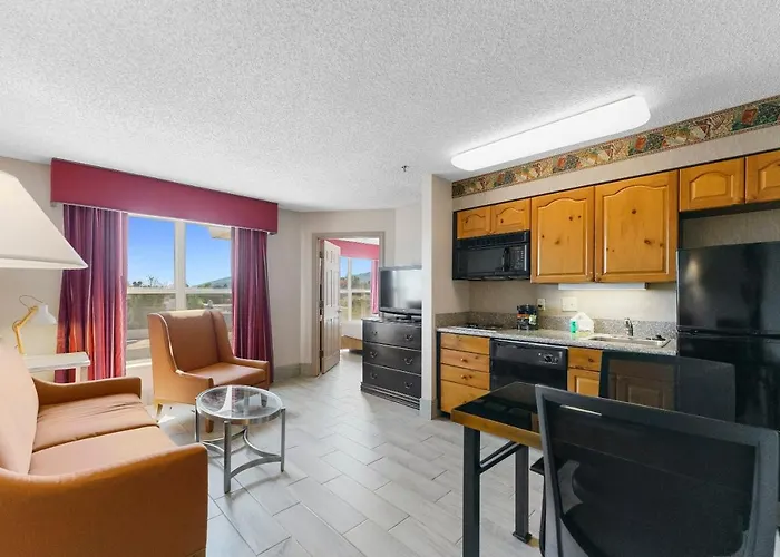 Metro Scottsdale Apartments 1 Bd 1 Ba Premium