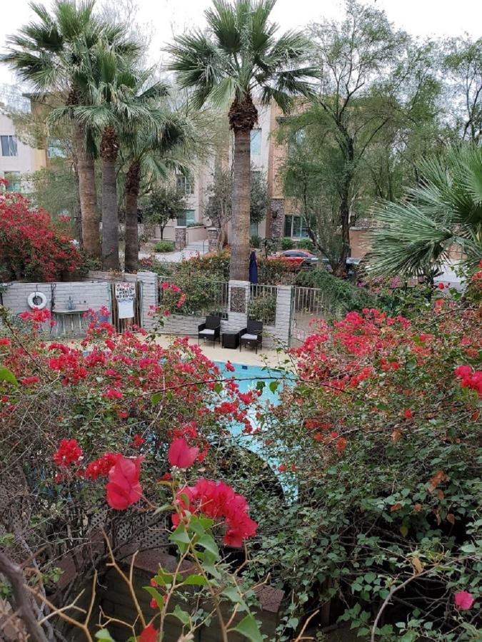 Desert Rose - Secluded One Bedroom In Old Town Scottsdale, Arizona Apartment Scottsdale