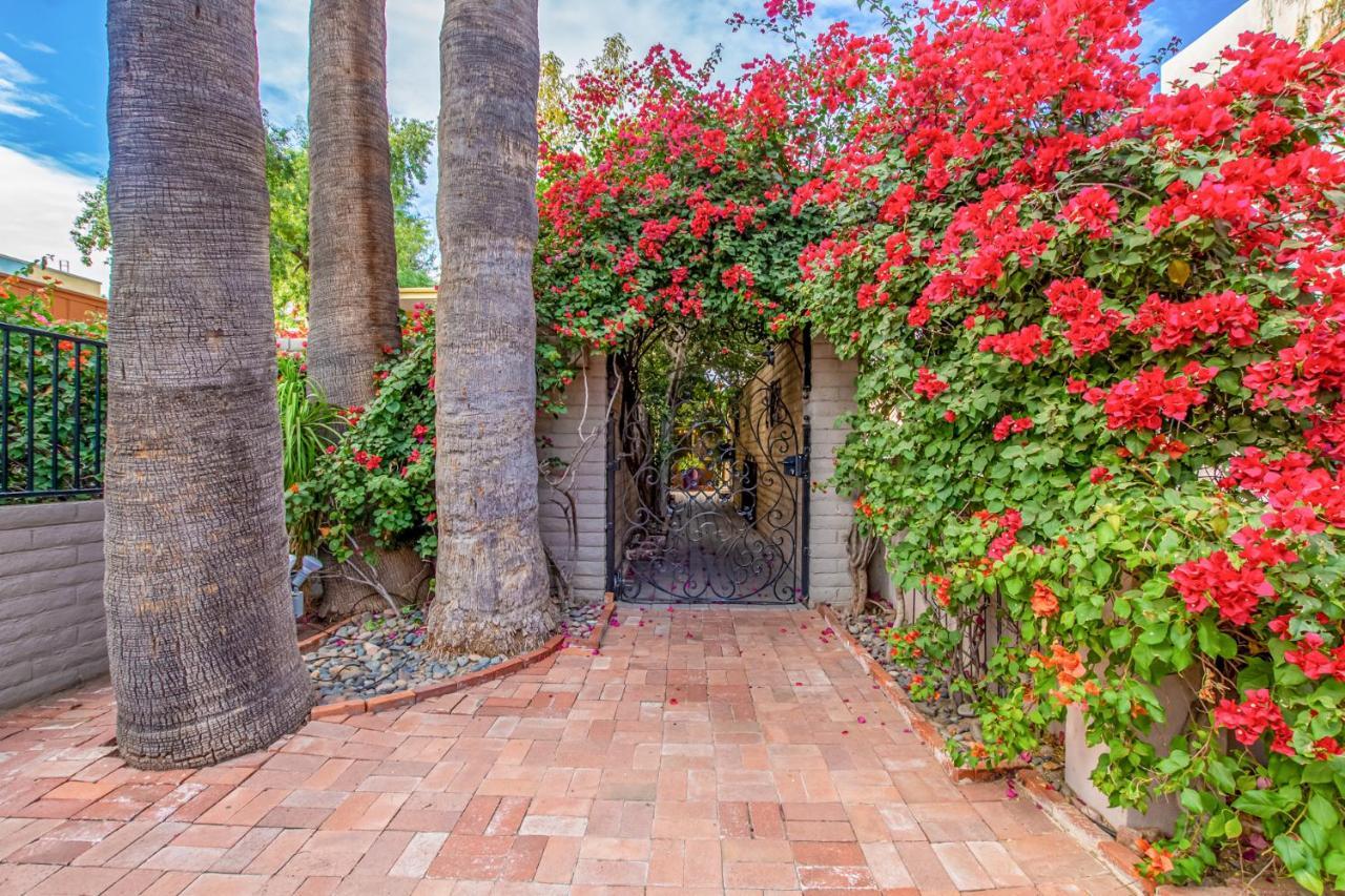 Desert Rose - Spotless Three Bedroom In The Heart Of Scottsdale