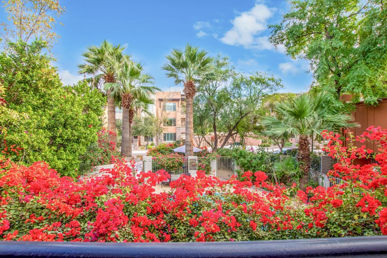 Desert Rose - Spotless Three Bedroom In The Heart Of Villa