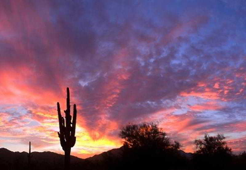 Courtyard By Marriott Salt River 3*