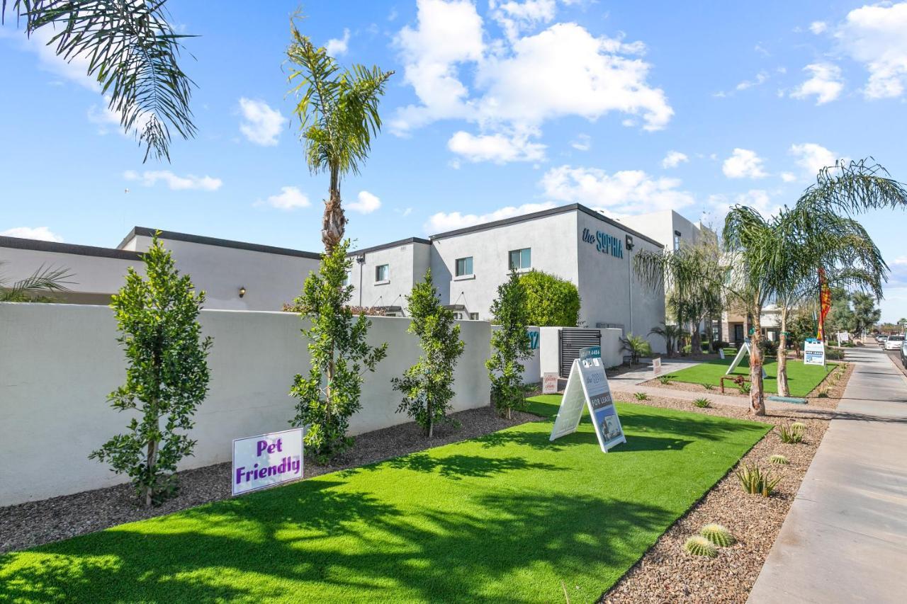 The Sophia Apartment Scottsdale