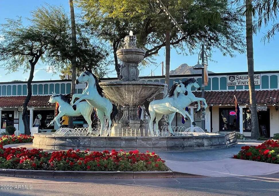 Lux Scottsdale