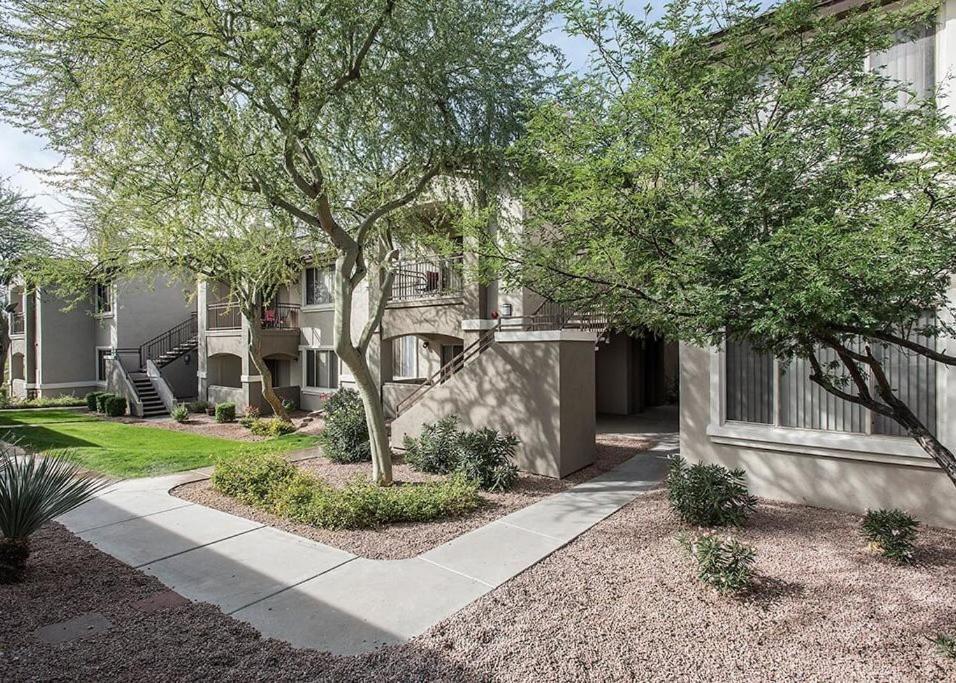 Pure 2 Bed N Mcdowell Mtn Ranch Gym Pool Apartment *