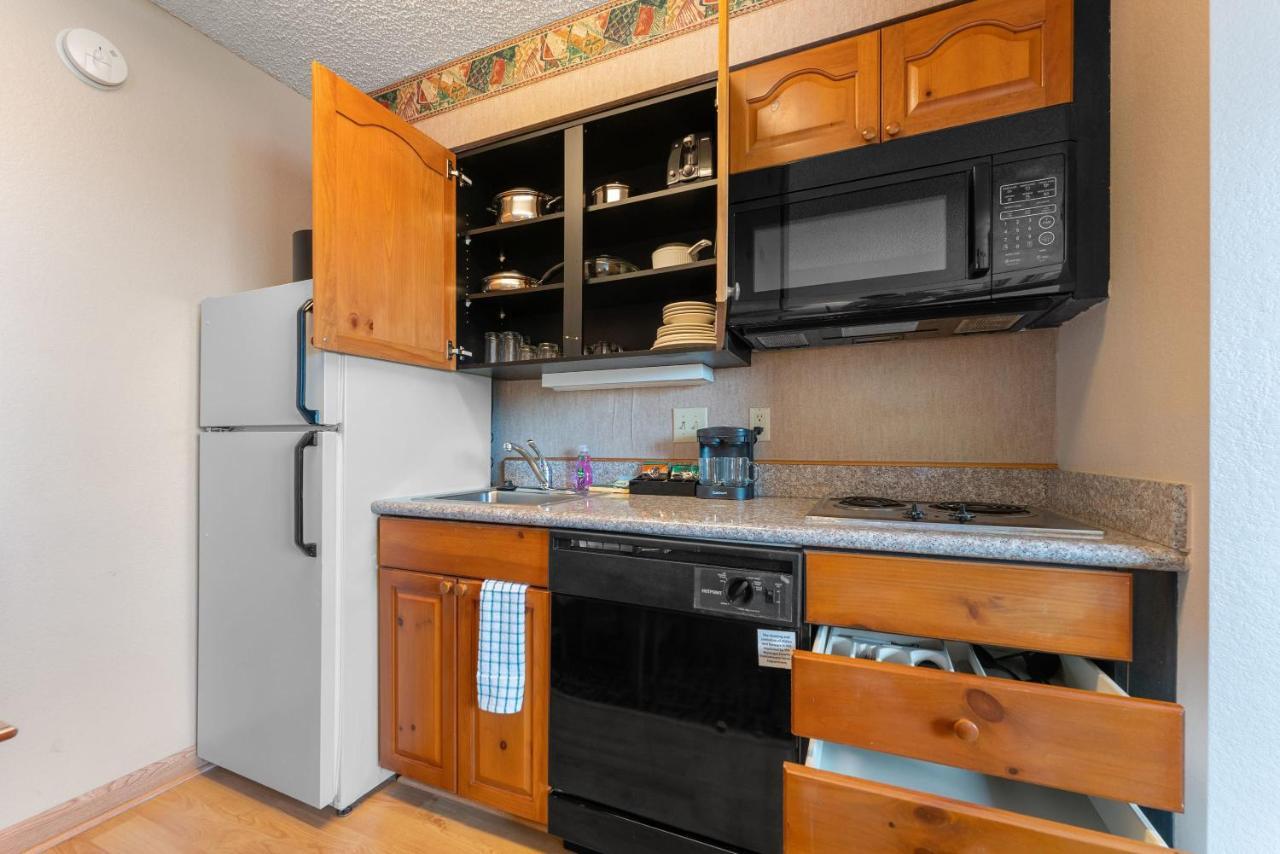 1 Bd 1 Ba Furnished