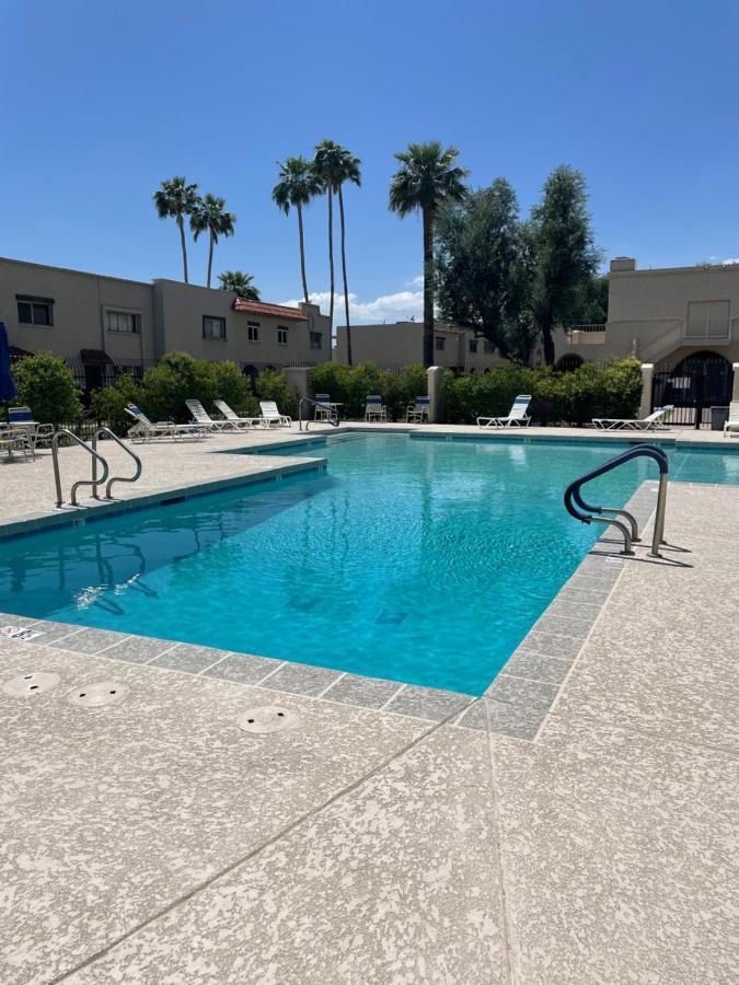 Desert Palms Hangout Scottsdale