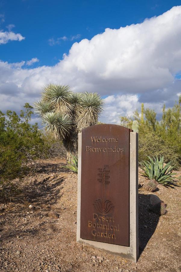 102 -fully Furnished 1br Suite-prime Location Apartment Scottsdale