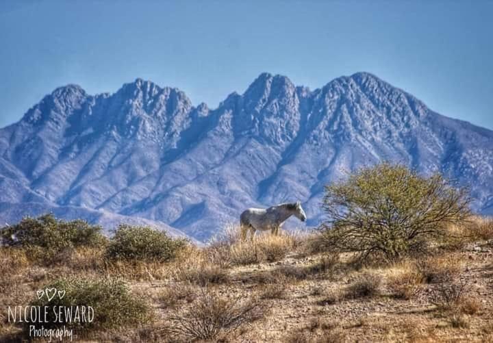 Rio Rancho Two Bedroom Apartment