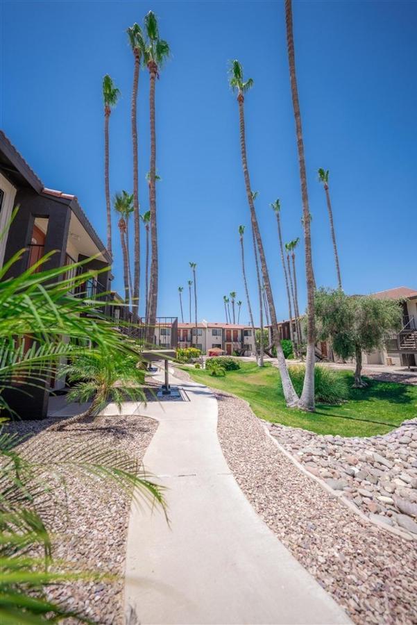 107 Fully Furnished 1br Suite-prime Location Scottsdale