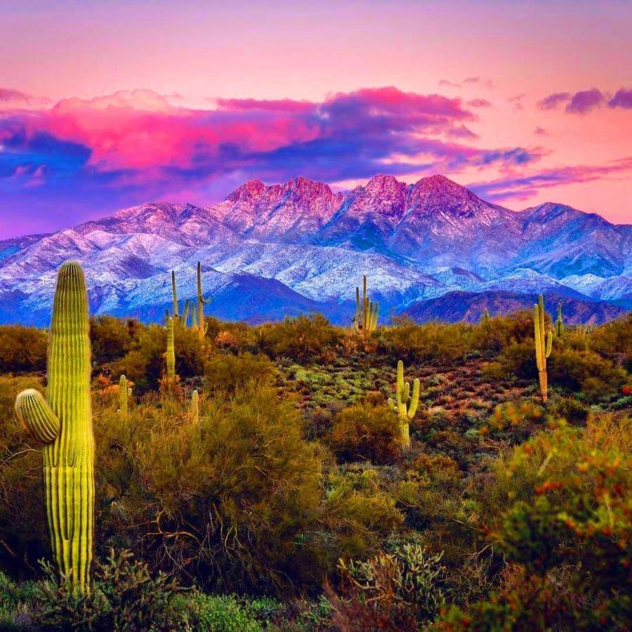 Rio Rancho Two Bedroom * Scottsdale