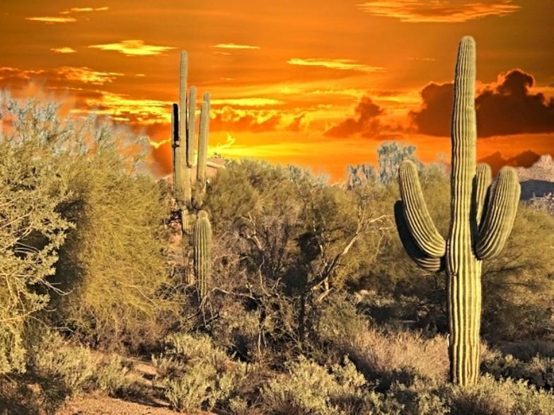 Holiday home Sonoran Desert Chic Scottsdale
