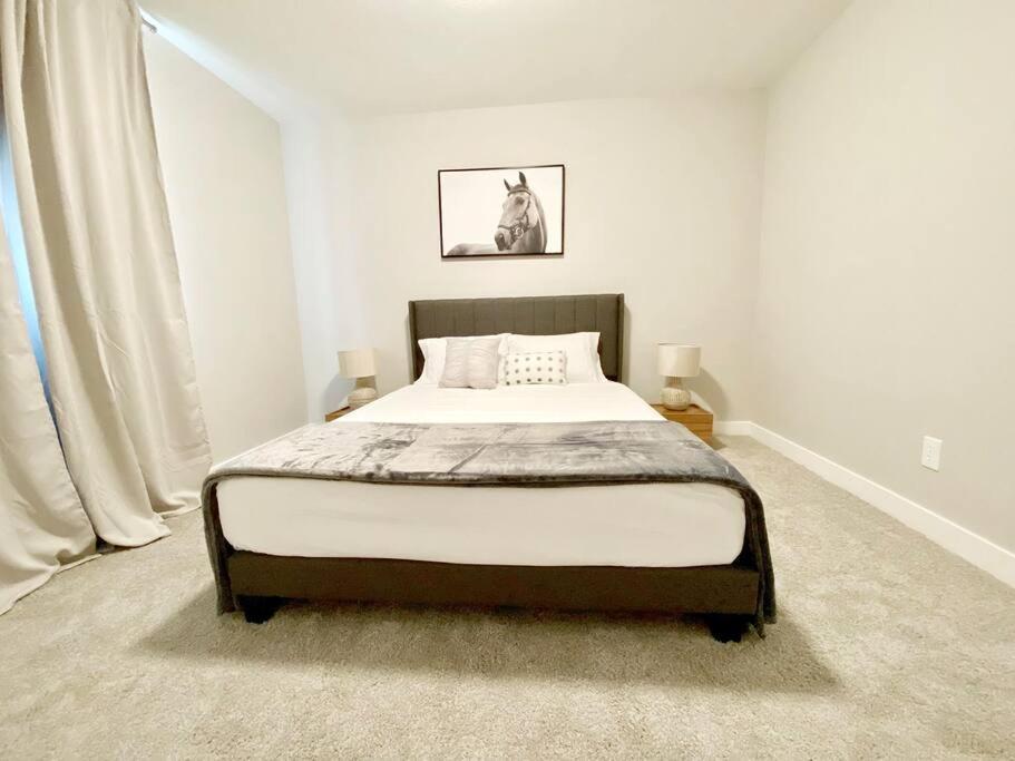 South Remodeled Beauty *