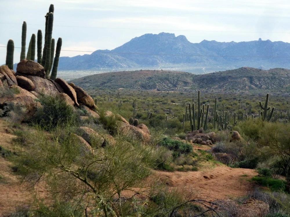 Sonoran Desert Chic Holiday home *