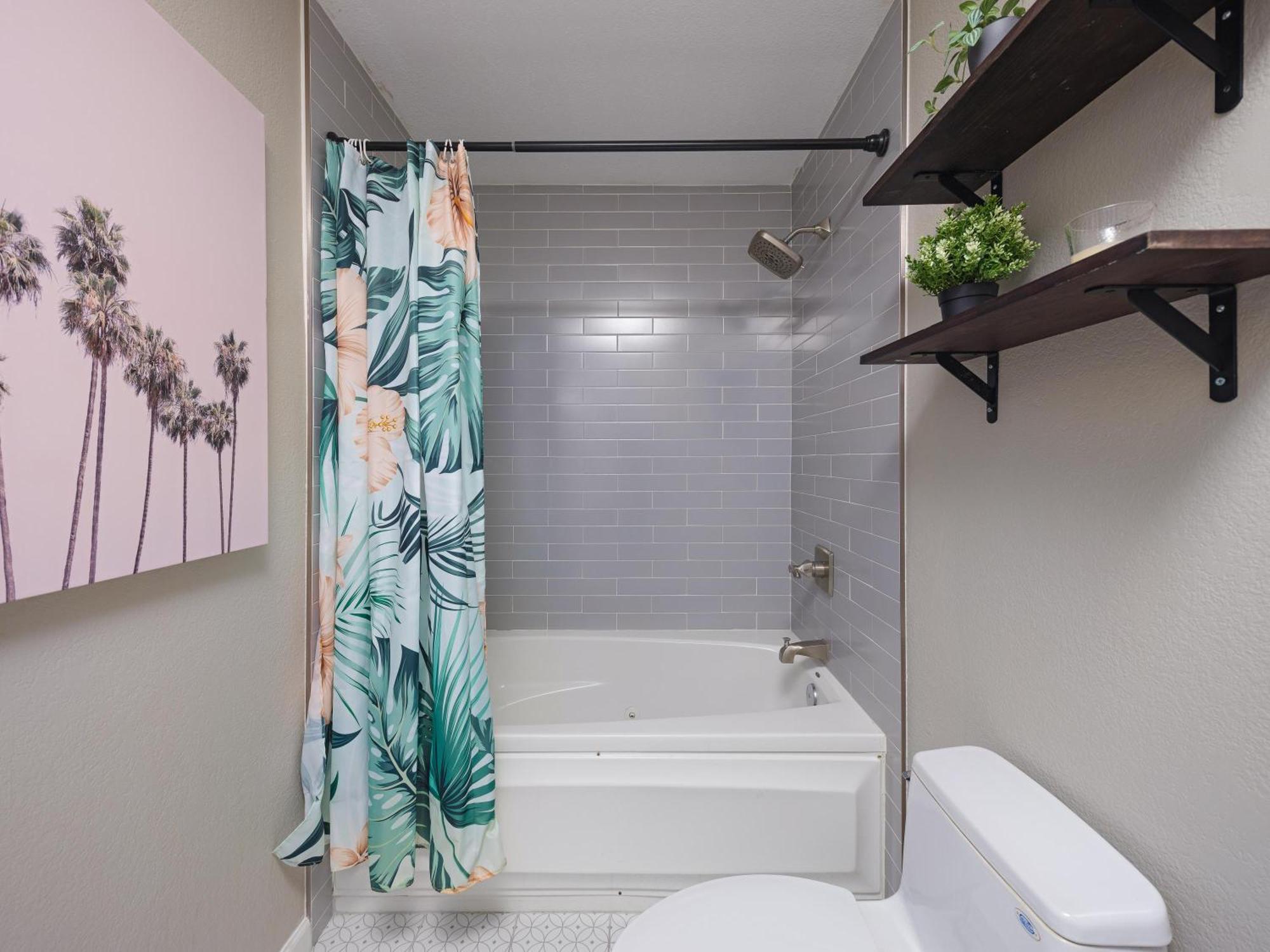 Modern Tropics Holiday home Scottsdale