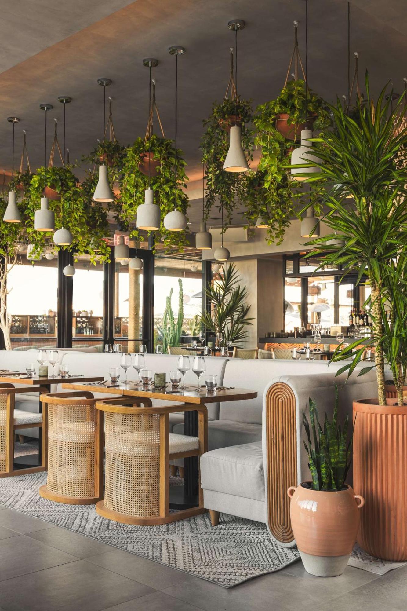 Senna House Scottsdale, Curio Collection By Hilton