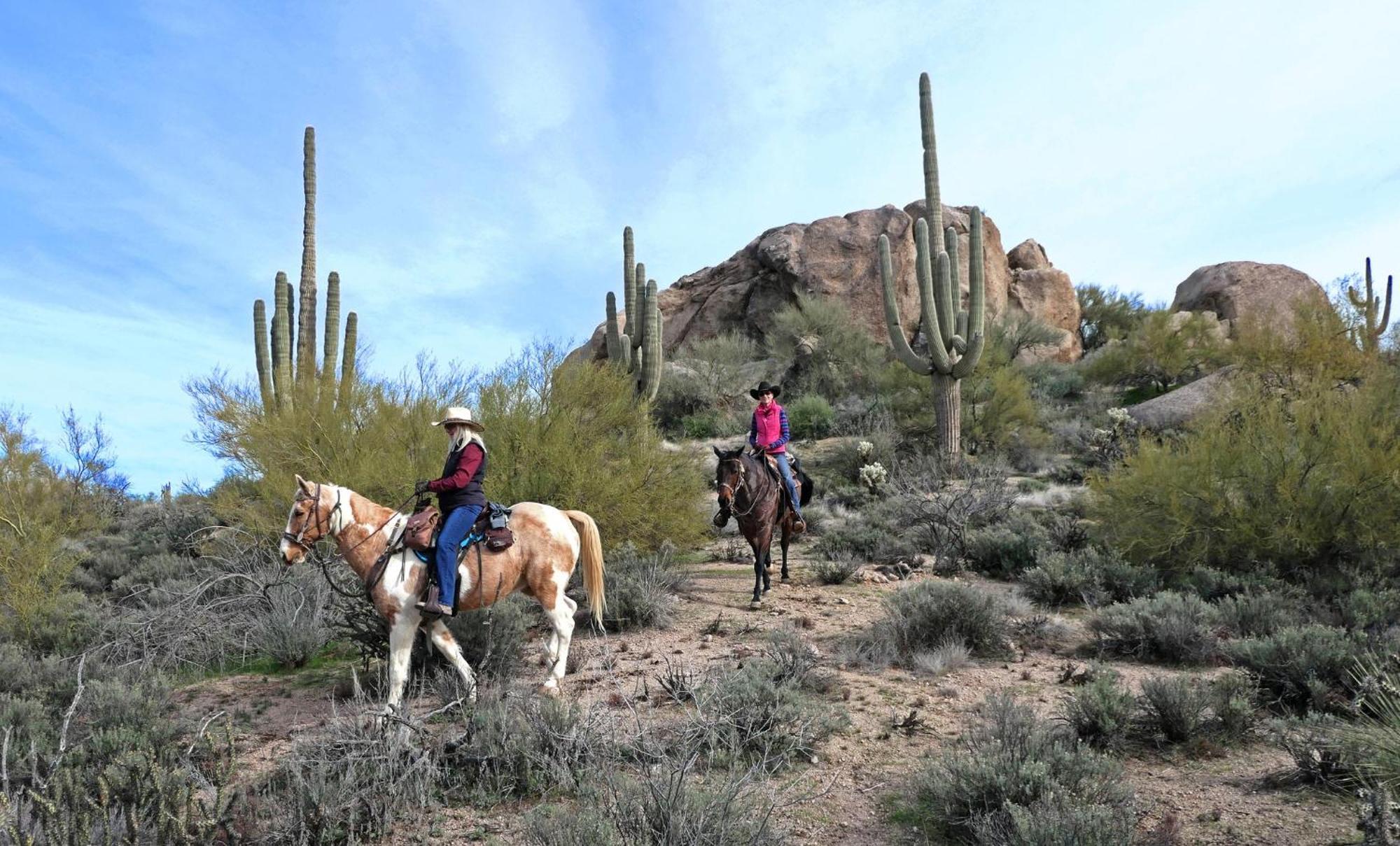 Rio Rancho Two Bedroom Apartment Scottsdale