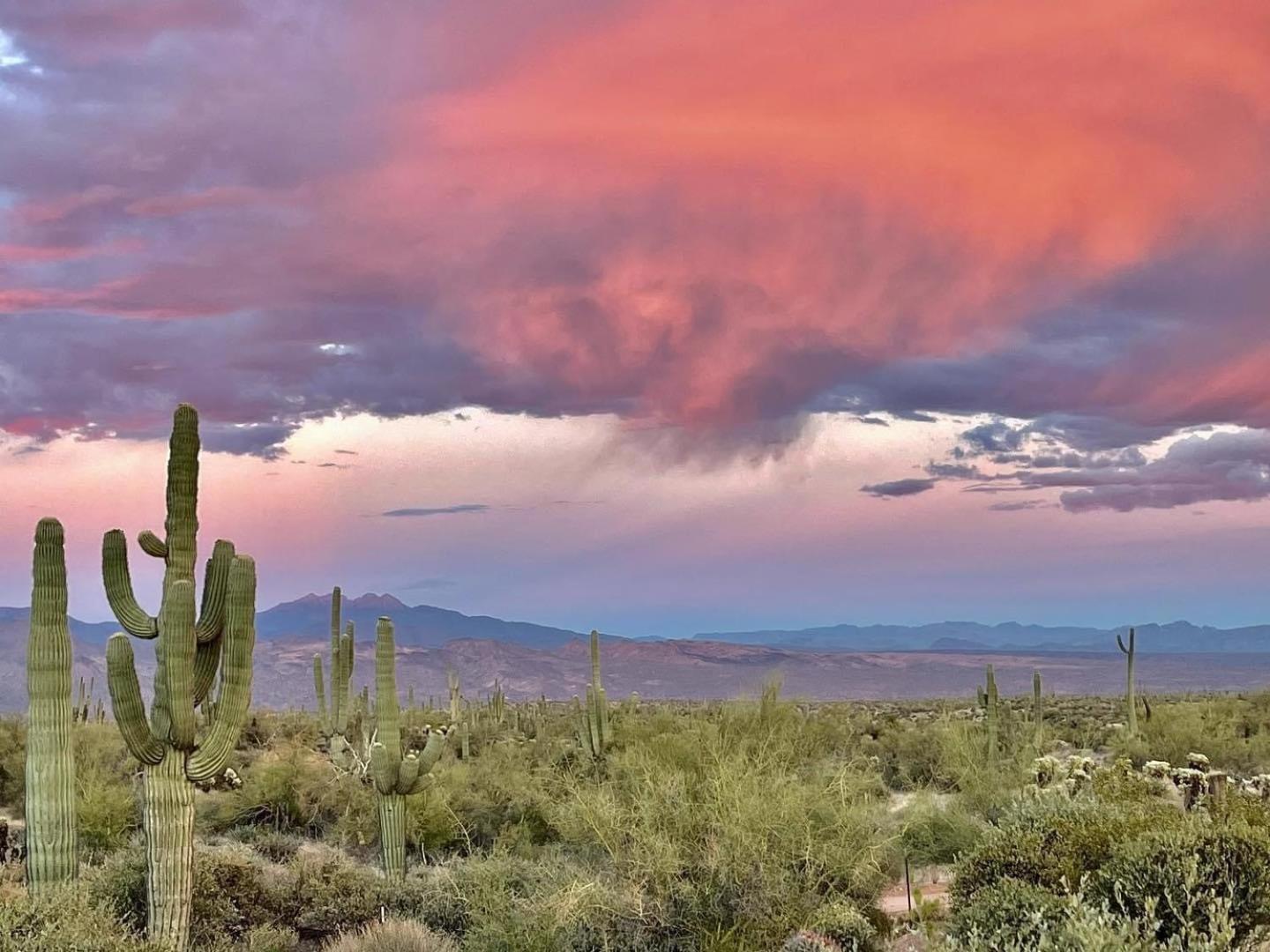 Rio Rancho Two Bedroom Apartment Scottsdale