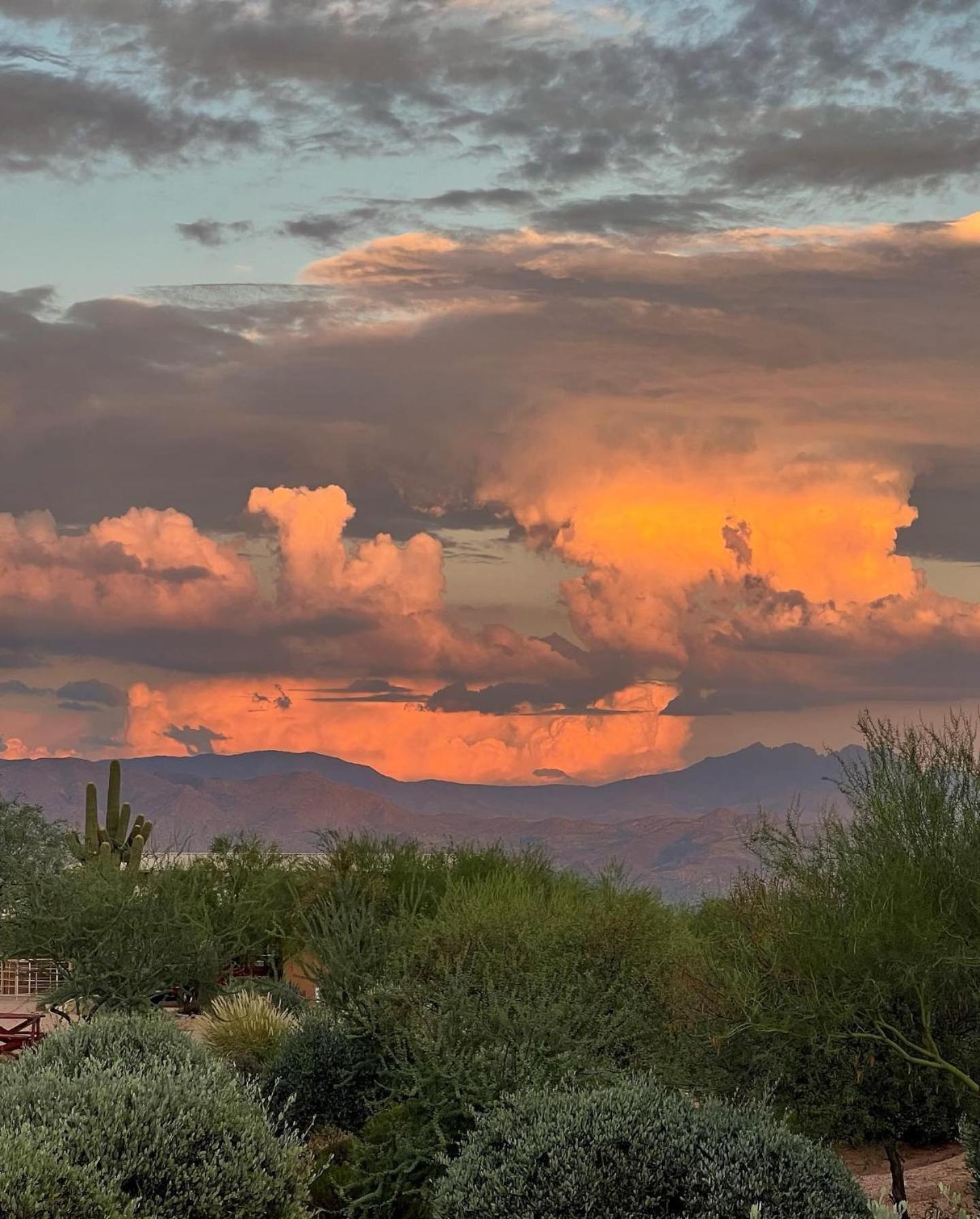 Rio Rancho Two Bedroom * Scottsdale