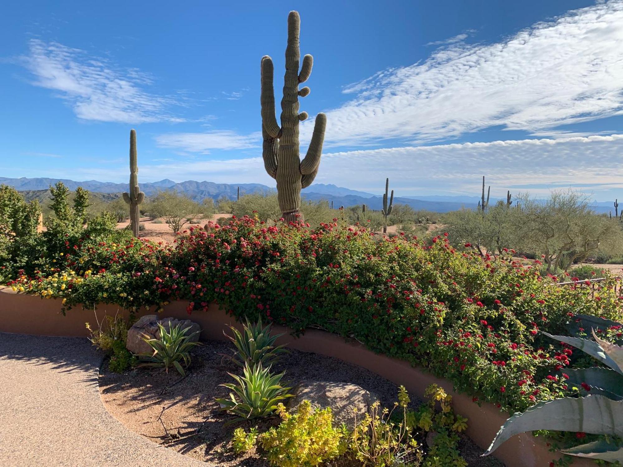 Rio Rancho Two Bedroom *
