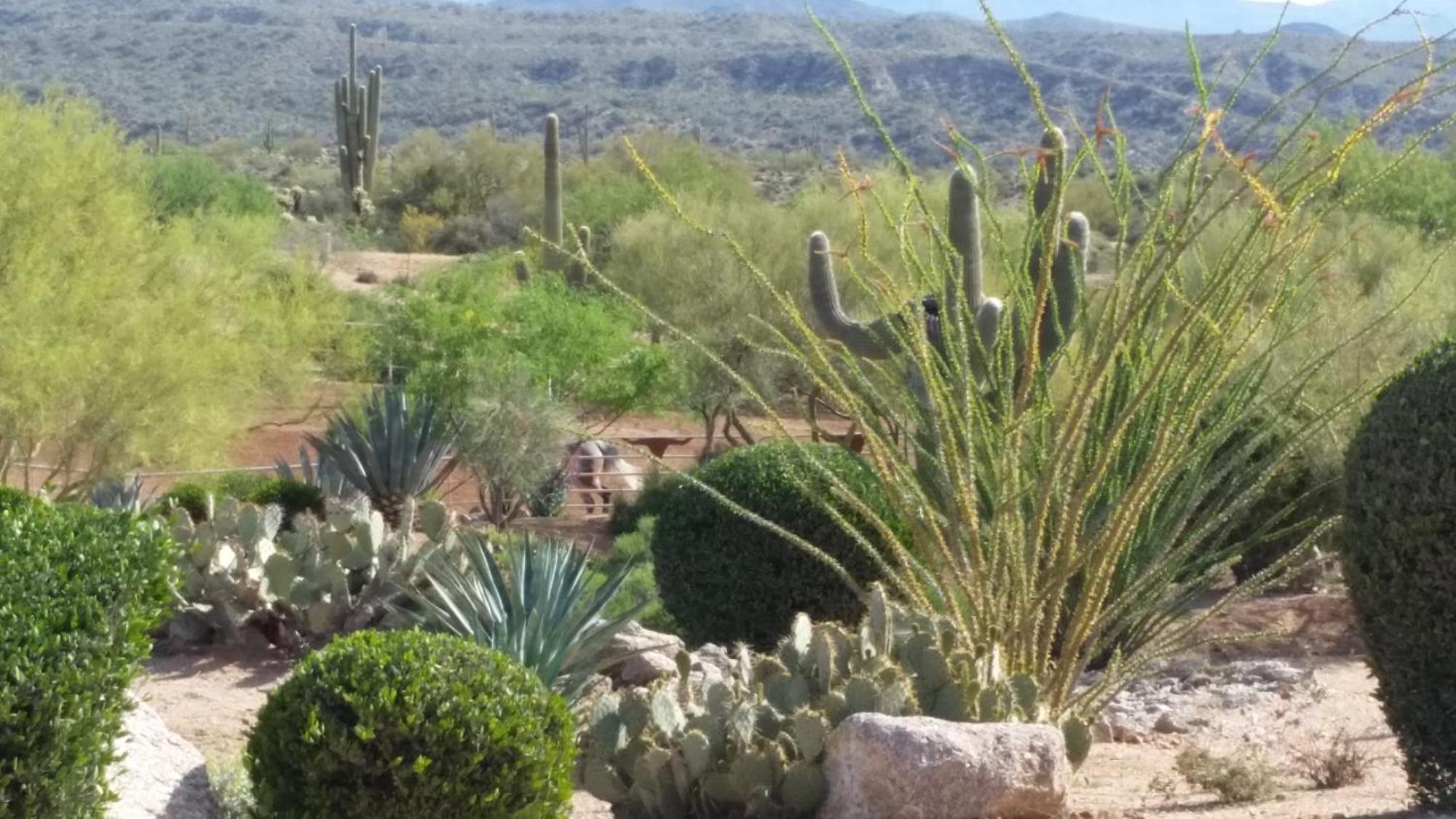 Apartment Rio Rancho Two Bedroom Scottsdale