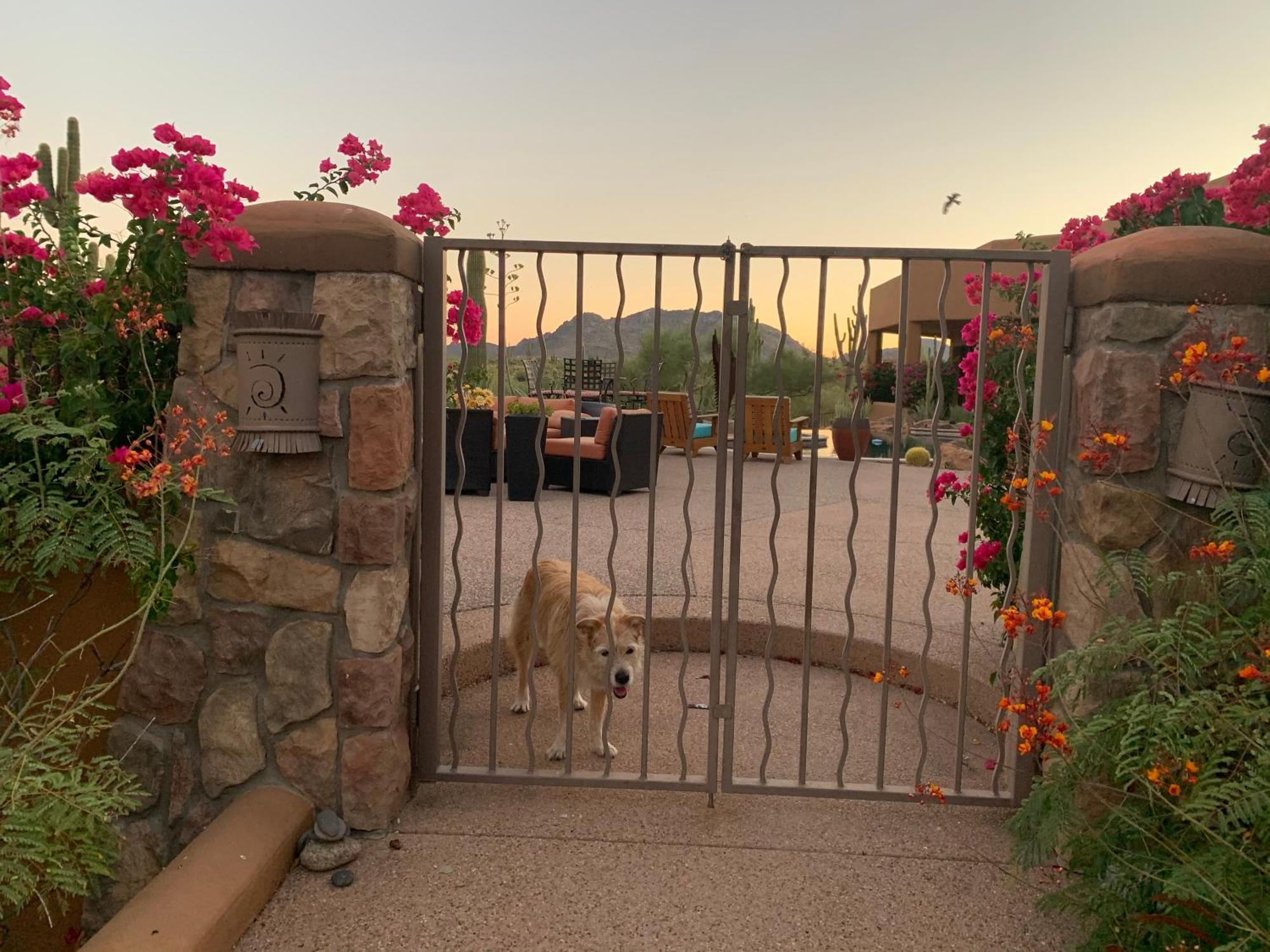 Rio Rancho Two Bedroom *