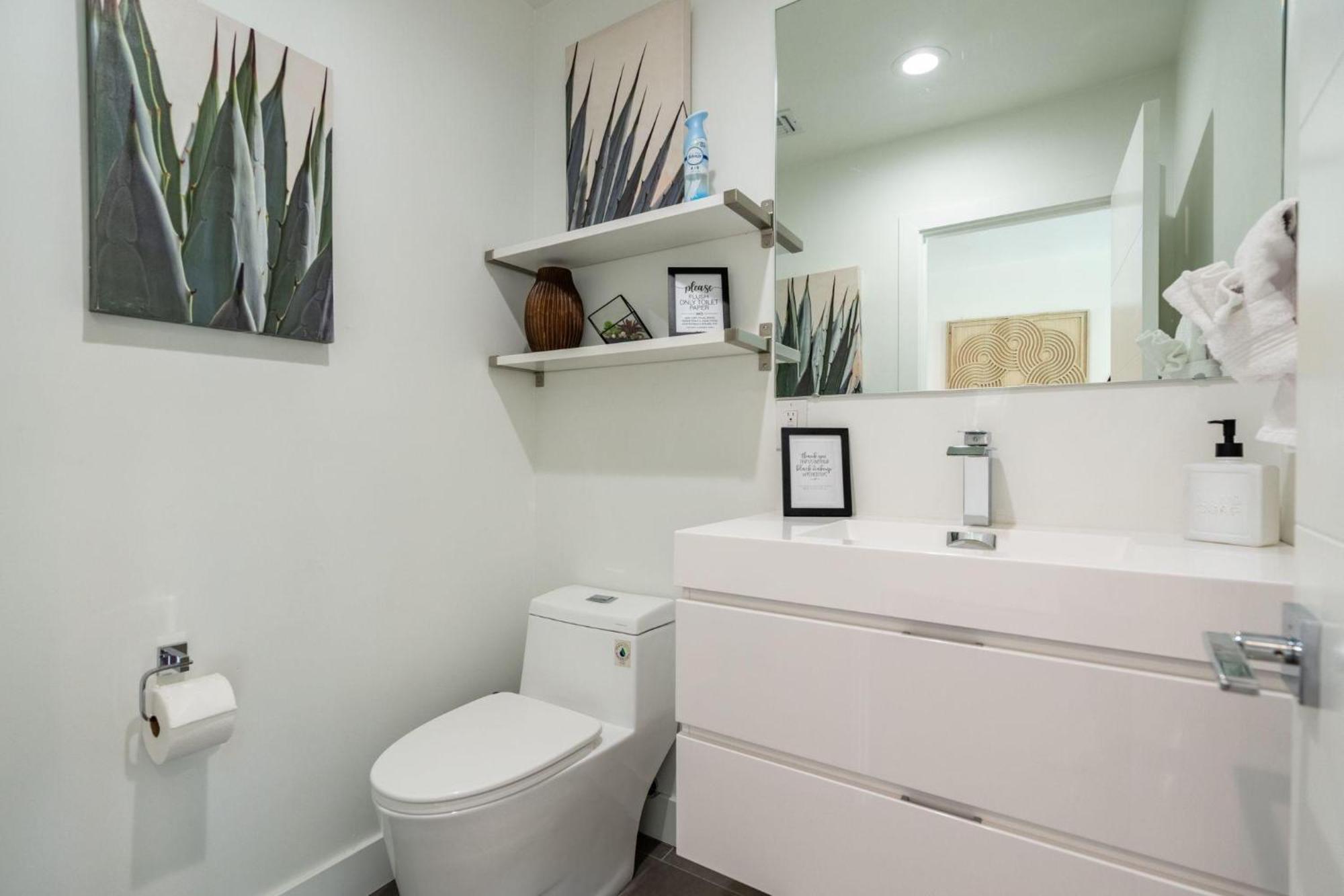 The Agave Oasis *