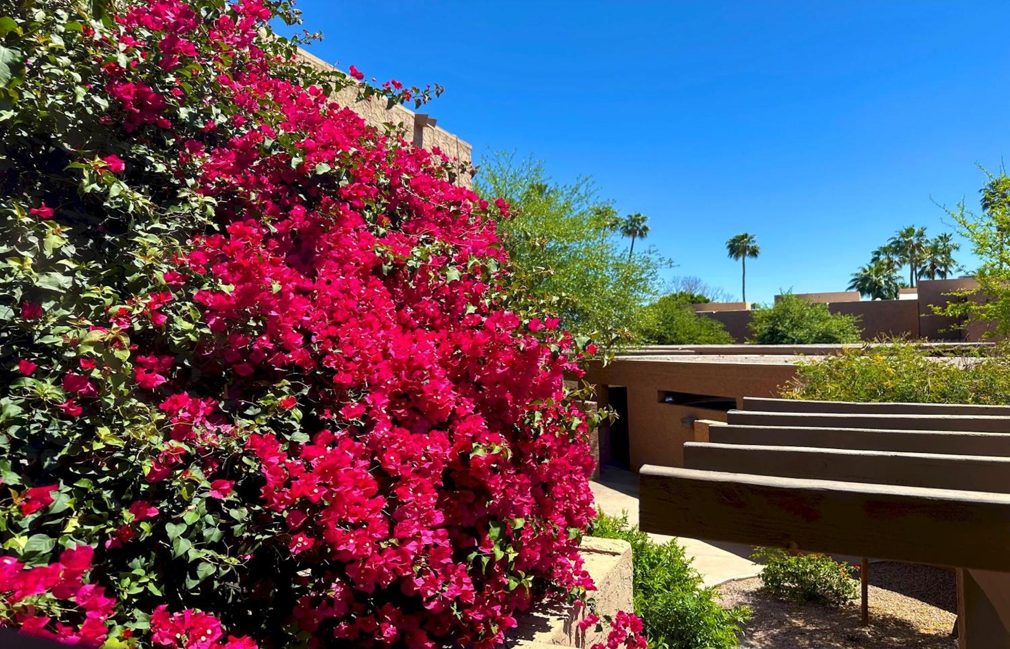 10 Scottsdaleresortvillas By Americanvacationliving