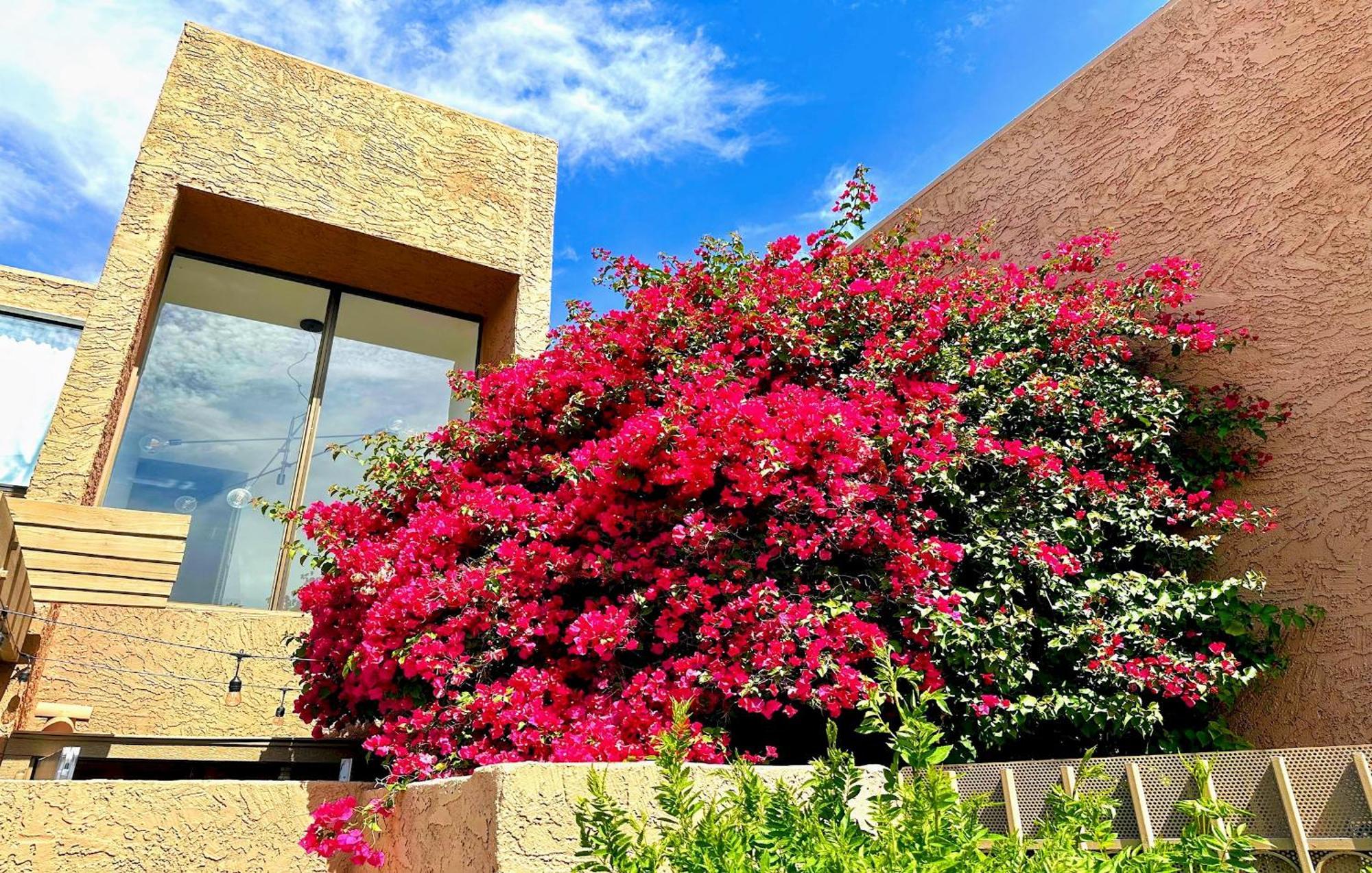10 Scottsdaleresortvillas By Americanvacationliving Holiday home *