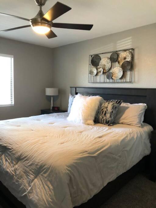 Apartment Beauty Close To Old Town 1 Bed 1 Bath Scottsdale