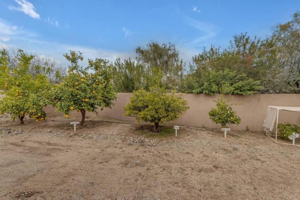 Holiday home Desert Retreat With Dream Backyard *